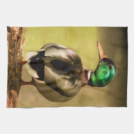Linge De Cuisine Mallard Duck (Horizontal)