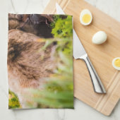 Linge De Cuisine Mama bear nourrit ses deux petits, Lake Clark Nati (Quart Plié)