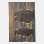 Linge De Cuisine Manchots empereurs (Vertical)