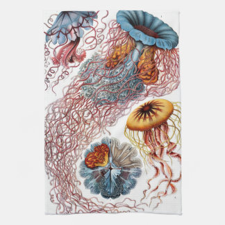 Linge De Cuisine Méduse vintage par Ernst Haeckel, Discomedusae