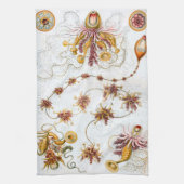 Linge De Cuisine Méduses d'Ernst Haeckel Siphonophorae (Vertical)