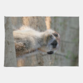 Linge De Cuisine Meerkat 004 (Horizontal)