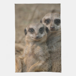 Linge De Cuisine Meerkat_20170901_by_JAMFoto