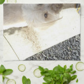 Linge De Cuisine Mélange de caniche-terrier avec le visage sale (Plié)