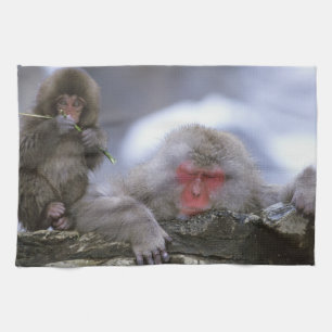 Linge De Cuisine Mère et enfant singe des neiges, Jigokudani, Nagan