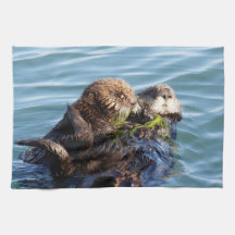 Mère et petit loup de mer avec varech