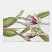 Linge De Cuisine Miltonia Spectabilis orchidée cuisine botanique to (Horizontal)