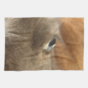 Linge De Cuisine Mini Cheval bleu teint Filly