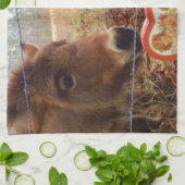 Linge De Cuisine Miniature Donkey & Horse Valentine Heart (Plié)