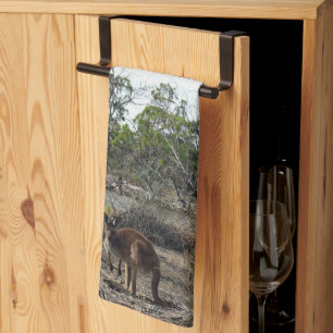 Linge De Cuisine Moment Tranquille : Kangourou Australien au Billab