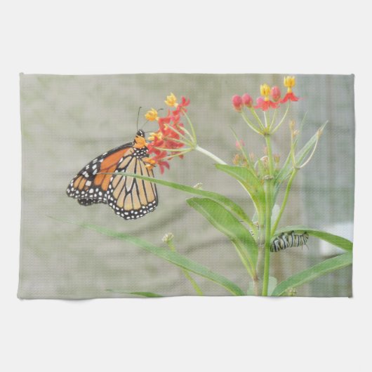 Linge De Cuisine Monarch Butterfly et Caterpillar (Horizontal)