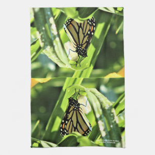 Linge De Cuisine Monarque émerge dans les jardins