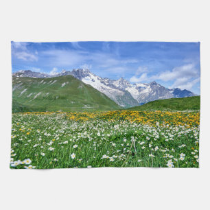 Linge De Cuisine Montagnes Swiss Alps Valley Spring