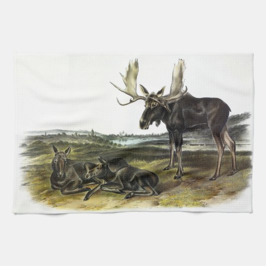 Linge De Cuisine Moose Deer (Moose - Alces alces) par Audubon (Horizontal)