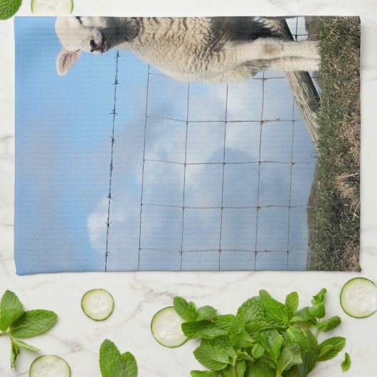 LINGE DE CUISINE MOQUETTE (Plié)