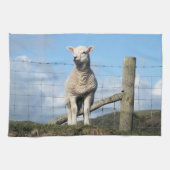 LINGE DE CUISINE MOQUETTE (Horizontal)