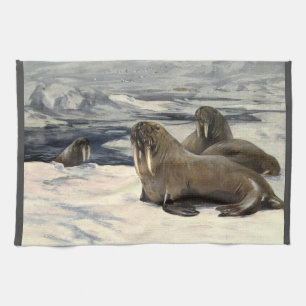 Linge De Cuisine Morses dans la neige arctique, animal marin vintag