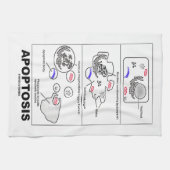 Linge De Cuisine Mort cellulaire programmée par biologie d'apoptose (Horizontal)