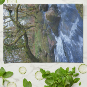 Linge De Cuisine Mossy Trees et rivière Dart Flot à Dartmeet