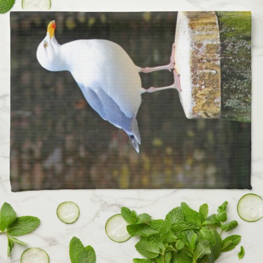 Linge De Cuisine Mouette (Plié)