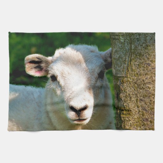 LINGE DE CUISINE MOUTON PEU MIGNON (Horizontal)