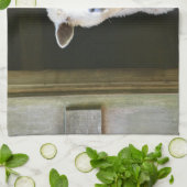 Linge De Cuisine Moutons de pays (Plié)