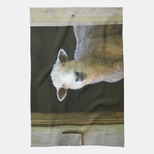 Linge De Cuisine Moutons de pays (Vertical)