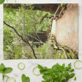 Linge De Cuisine Muir Woods Path II Nature Photography (Plié)