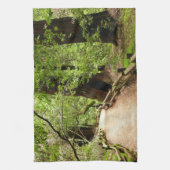 Linge De Cuisine Muir Woods Path II Nature Photography (Vertical)