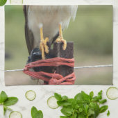 Linge De Cuisine Nankeen Kestrel (Plié)