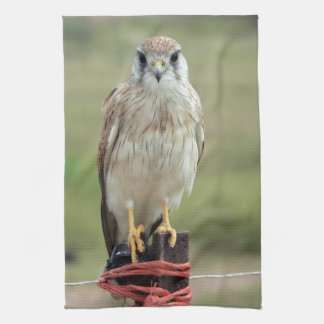 Linge De Cuisine Nankeen Kestrel