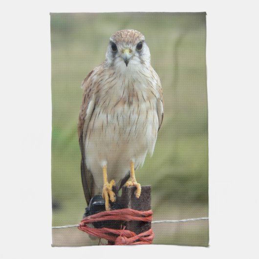 Linge De Cuisine Nankeen Kestrel (Vertical)