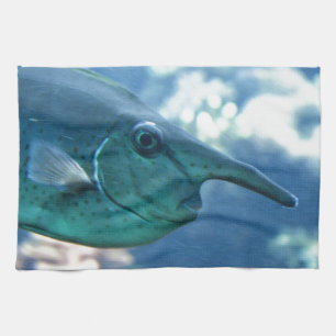 Linge De Cuisine Naso brevirostris