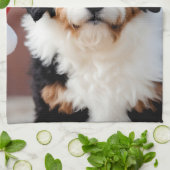 Linge De Cuisine Noël Bernedoodle (Plié)