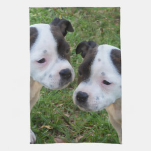 Linge De Cuisine Noir Blanc Staffordshire Bull Terrier Chiots,
