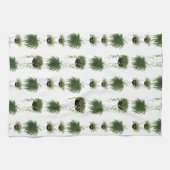 Linge De Cuisine Oasis intérieure | Paniers pendants (Horizontal)