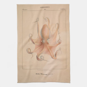 Linge De Cuisine Octopus vintage 1851 Eledon Aldrovandi