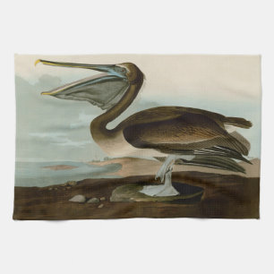 Linge De Cuisine Œuvre d'art de Pélican Brun de John James Audubon