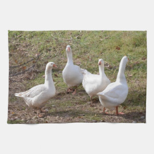 Linge De Cuisine Oies blanches