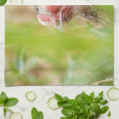 Linge De Cuisine Oiseau (Plié)