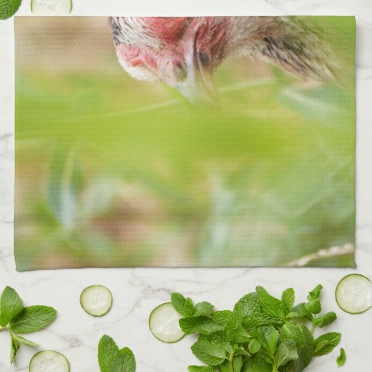 Linge De Cuisine Oiseau (Plié)