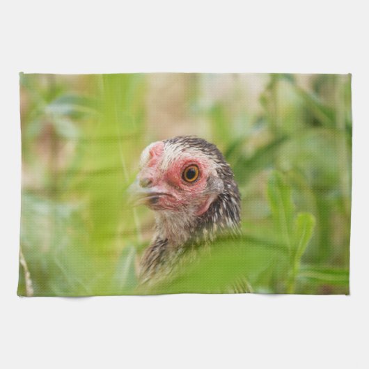 Linge De Cuisine Oiseau (Horizontal)