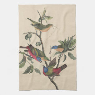 Linge De Cuisine Oiseau coloré de l'art Audubon peint vintage