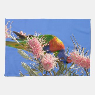 Linge De Cuisine Oiseau Loriquet Arc-en-Ciel Coloré Mangeant du Nec