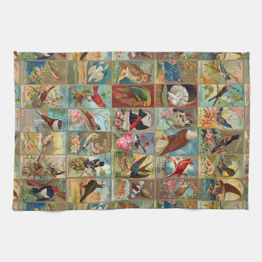 Linge De Cuisine Oiseaux du 19ème siècle des illustrations de (Horizontal)