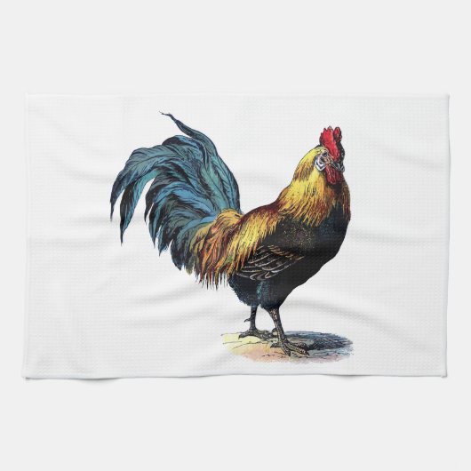 LINGE DE CUISINE OLD ROOSTER (Horizontal)