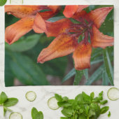 Linge De Cuisine Orange Daylily Canadian Flower Photography (Plié)