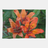 Linge De Cuisine Orange Daylily Canadian Flower Photography (Horizontal)