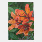 Linge De Cuisine Orange Daylily Canadian Flower Photography (Vertical)