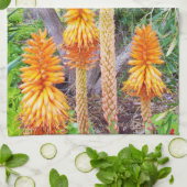 Linge De Cuisine Orange Hot Poker Flowers, (Plié)